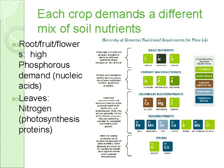 Each crop demands a different mix of soil nutrients Root/fruit/flower s: high Phosphorous demand