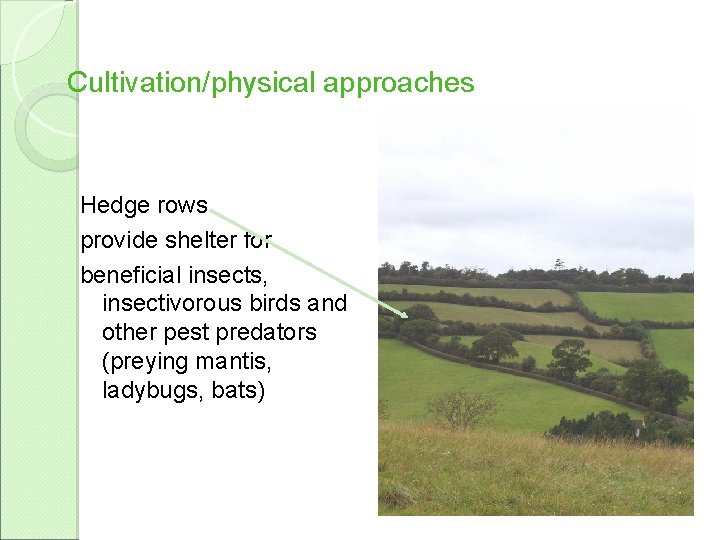 Cultivation/physical approaches Hedge rows provide shelter for beneficial insects, insectivorous birds and other pest