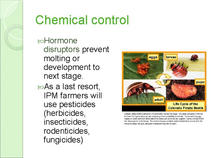 Chemical control Hormone disruptors prevent molting or development to next stage. As a last