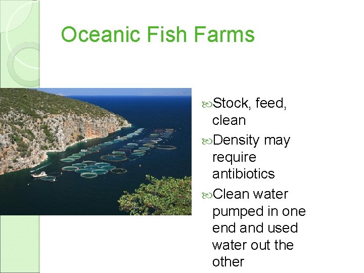 Oceanic Fish Farms Stock, feed, clean Density may require antibiotics Clean water pumped in
