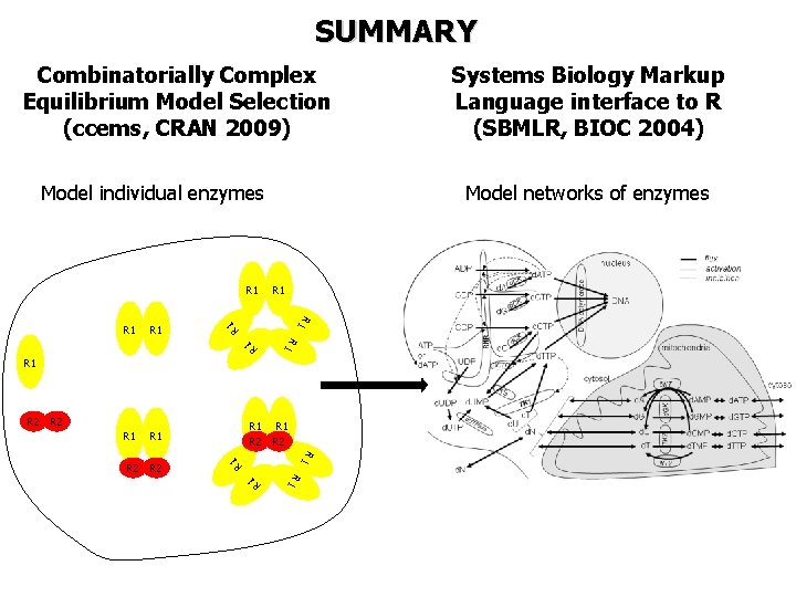 SUMMARY Combinatorially Complex Equilibrium Model Selection (ccems, CRAN 2009) Model individual enzymes R 1