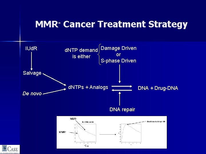 MMR- Cancer Treatment Strategy IUd. R d. NTP demand Damage Driven or is either