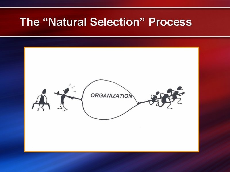 The “Natural Selection” Process 