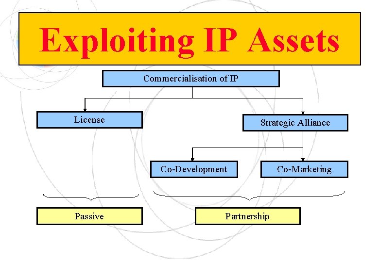 Exploiting IP Assets Commercialisation of IP License Strategic Alliance Co-Development Passive Partnership Co-Marketing 