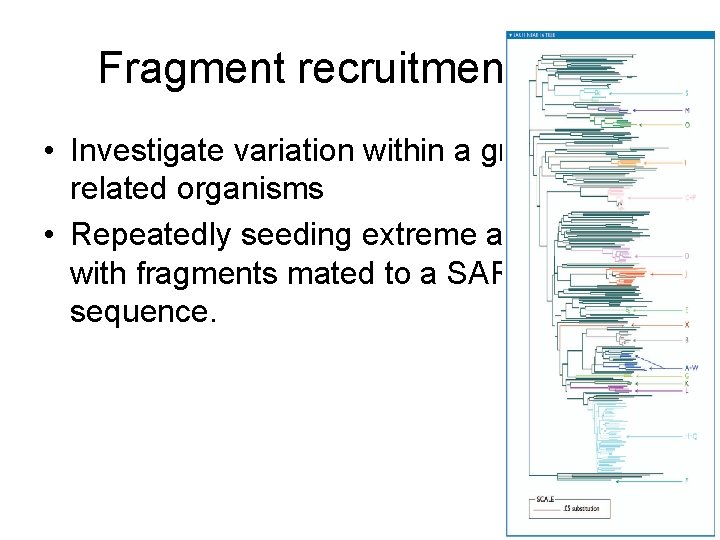 Fragment recruitment plots • Investigate variation within a group of related organisms • Repeatedly
