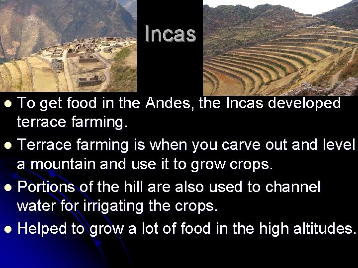 Incas To get food in the Andes, the Incas developed terrace farming. l Terrace