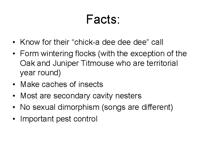 Facts: • Know for their “chick-a dee dee” call • Form wintering flocks (with
