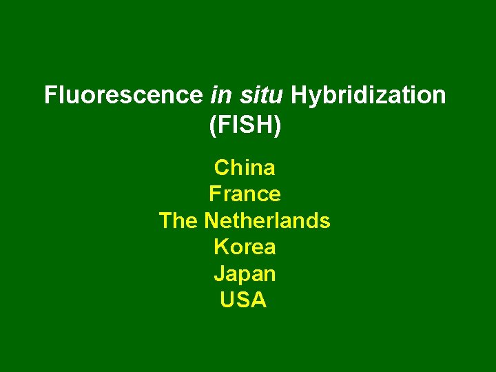 Fluorescence in situ Hybridization (FISH) China France The Netherlands Korea Japan USA 