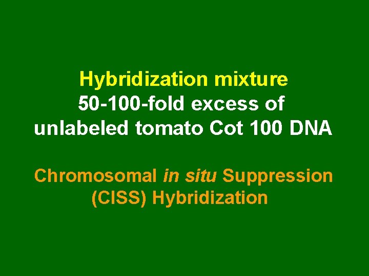 Hybridization mixture 50 -100 -fold excess of unlabeled tomato Cot 100 DNA Chromosomal in