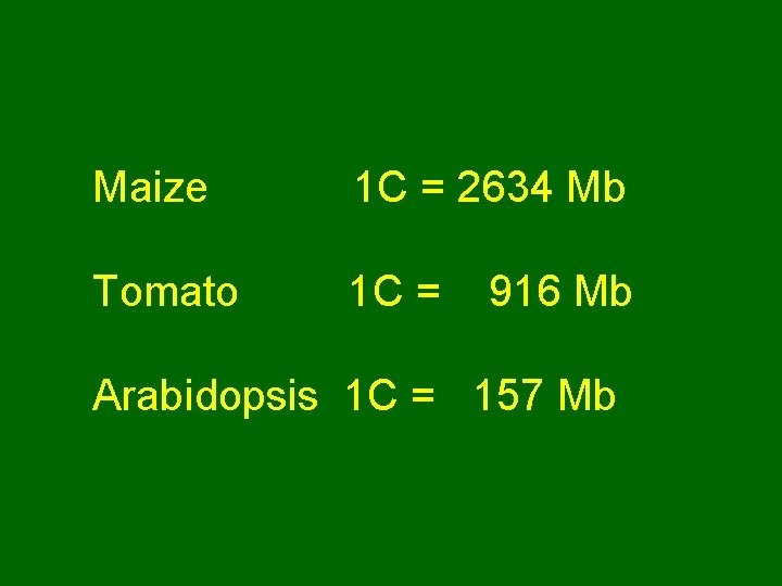 Maize 1 C = 2634 Mb Tomato 1 C = 916 Mb Arabidopsis 1