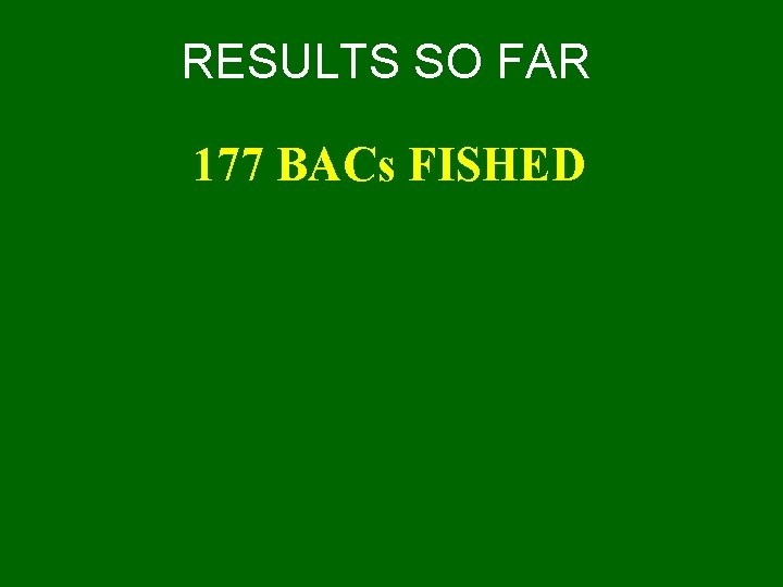 RESULTS SO FAR 177 BACs FISHED 