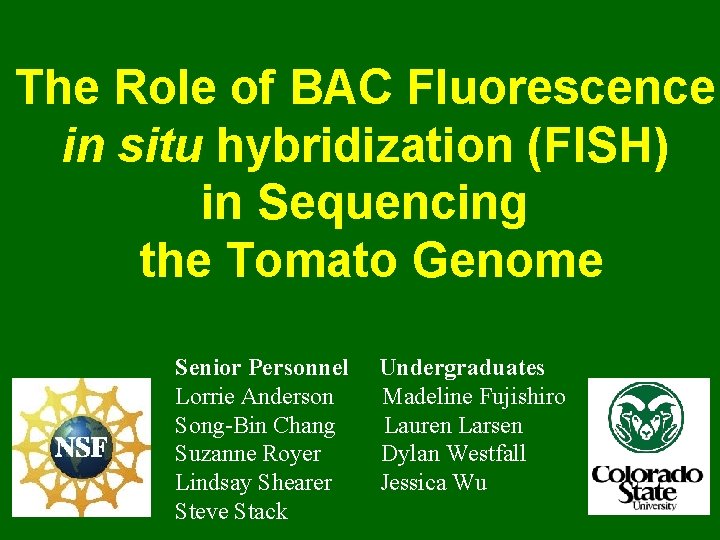 The Role of BAC Fluorescence in situ hybridization (FISH) in Sequencing the Tomato Genome