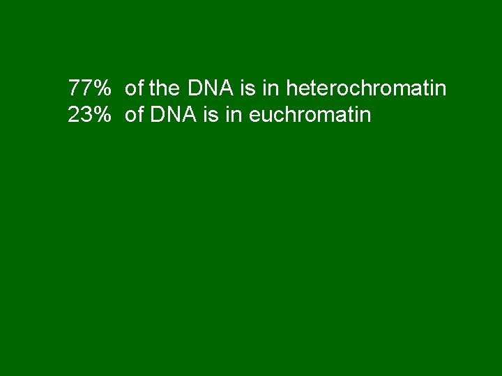 77% of the DNA is in heterochromatin 23% of DNA is in euchromatin 