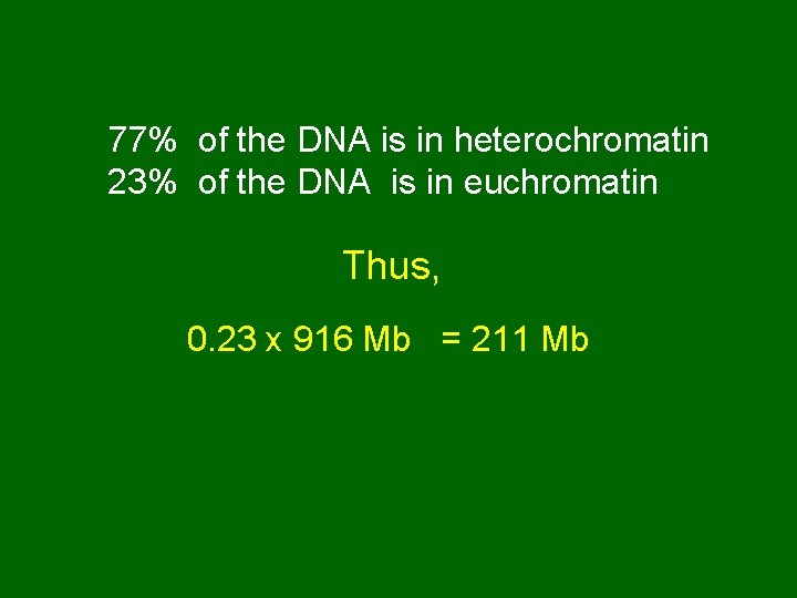 77% of the DNA is in heterochromatin 23% of the DNA is in euchromatin