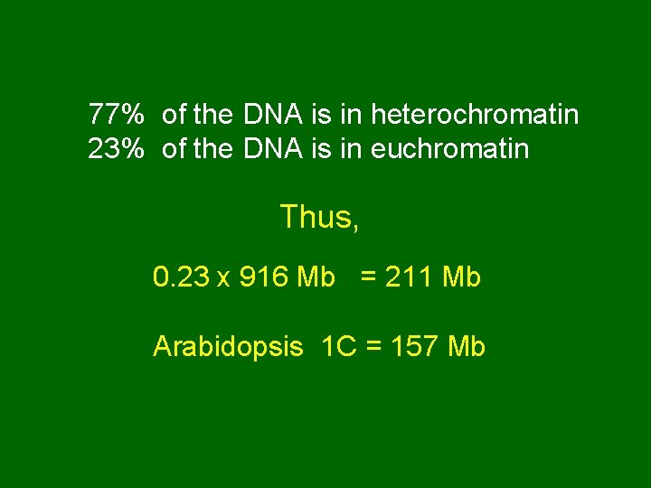 77% of the DNA is in heterochromatin 23% of the DNA is in euchromatin