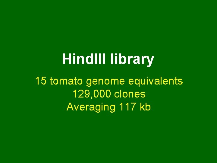 Hind. III library 15 tomato genome equivalents 129, 000 clones Averaging 117 kb 