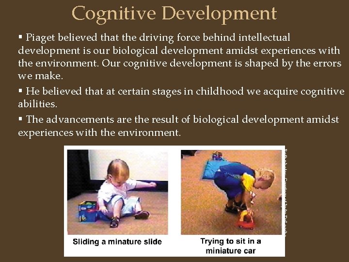 Cognitive Development § Piaget believed that the driving force behind intellectual development is our