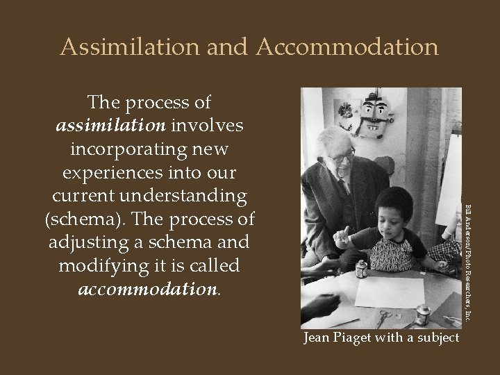 Assimilation and Accommodation Bill Anderson/ Photo Researchers, Inc. The process of assimilation involves incorporating