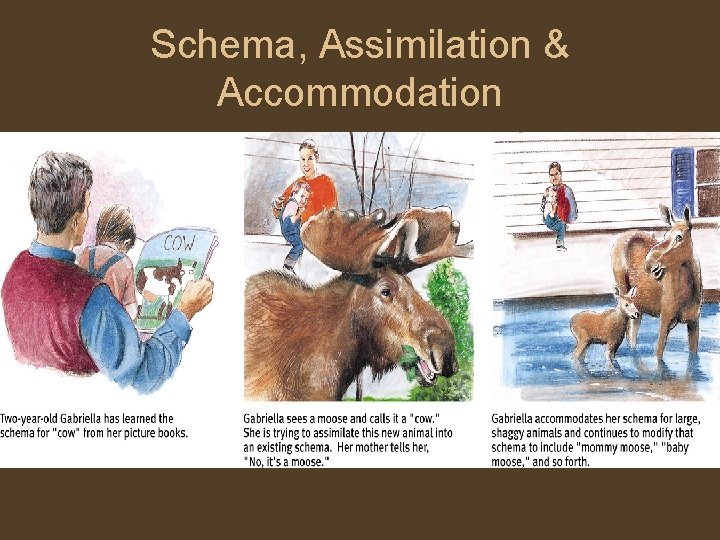 Schema, Assimilation & Accommodation 