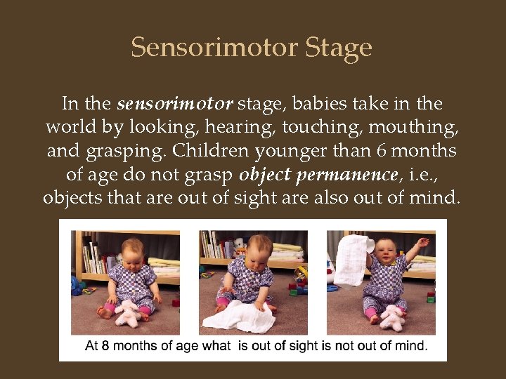 Sensorimotor Stage In the sensorimotor stage, babies take in the world by looking, hearing,