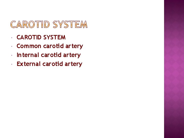  CAROTID SYSTEM Common carotid artery Internal carotid artery External carotid artery 