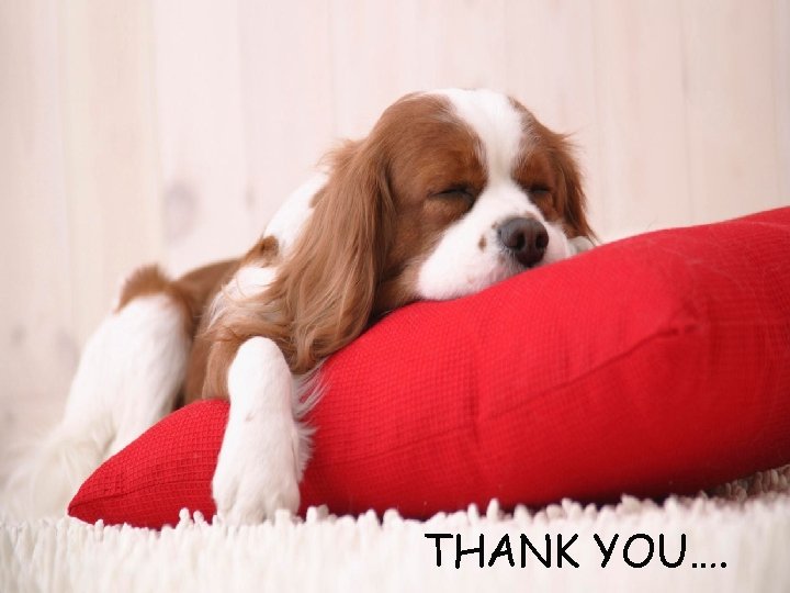 THANK YOU…. 
