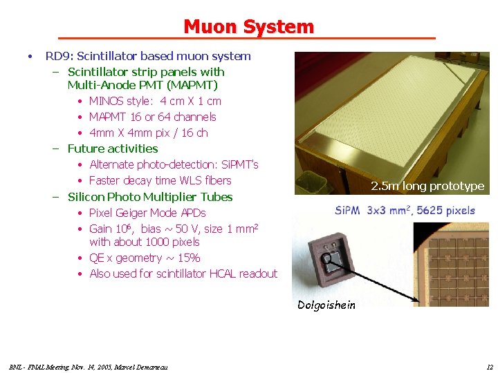 Muon System • RD 9: Scintillator based muon system – Scintillator strip panels with