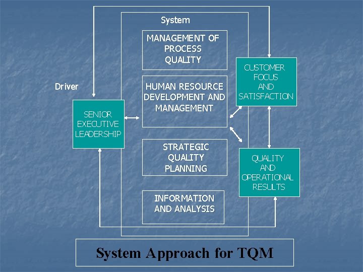 System MANAGEMENT OF PROCESS QUALITY Driver SENIOR EXECUTIVE LEADERSHIP HUMAN RESOURCE DEVELOPMENT AND MANAGEMENT