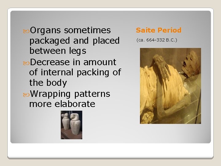  Organs sometimes packaged and placed between legs Decrease in amount of internal packing