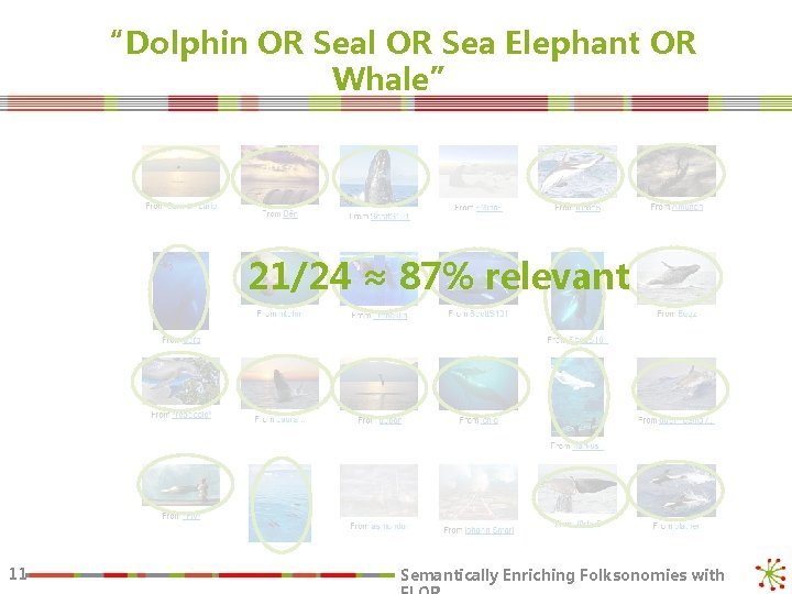 “Dolphin OR Seal OR Sea Elephant OR Whale” 21/24 ≈ 87% relevant 11 Semantically