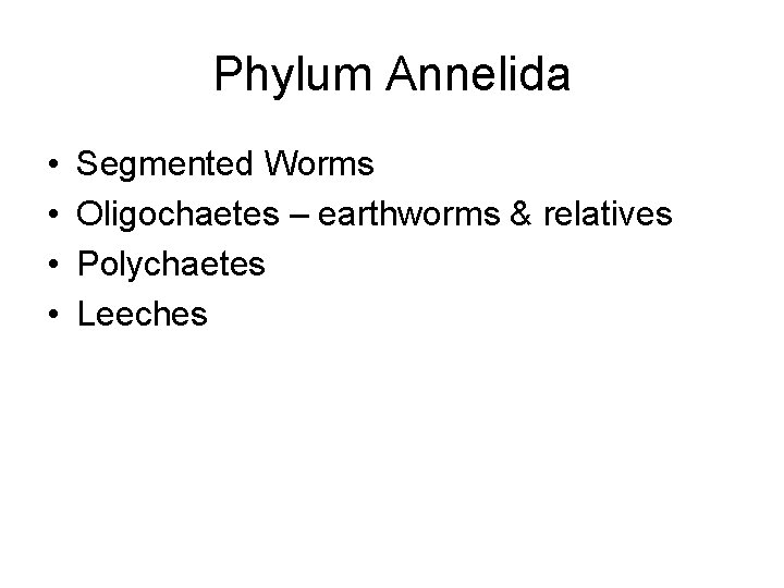 Phylum Annelida • • Segmented Worms Oligochaetes – earthworms & relatives Polychaetes Leeches 