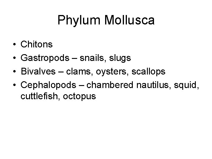 Phylum Mollusca • • Chitons Gastropods – snails, slugs Bivalves – clams, oysters, scallops
