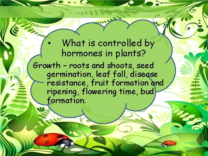  • What is controlled by hormones in plants? Growth – roots and shoots,