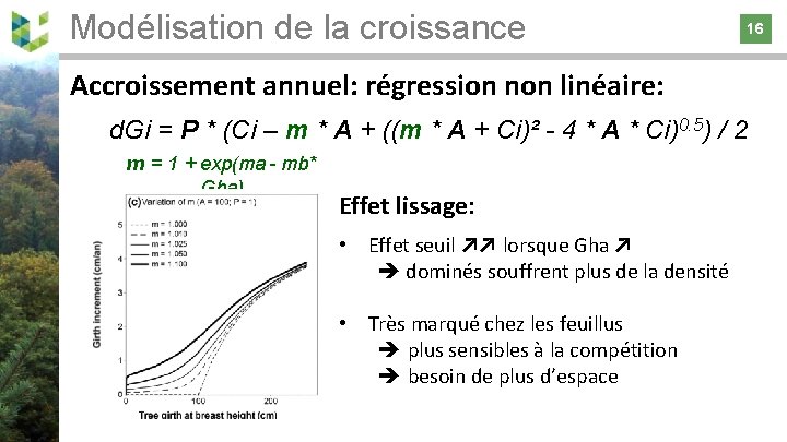 Modélisation de la croissance 16 16 Accroissement annuel: régression non linéaire: d. Gi =