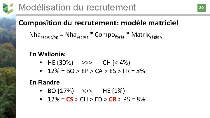 Modélisation du recrutement 20 Composition du recrutement: modèle matriciel Nharecrut/Sp = Nharecrut * Compoforêt
