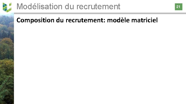 Modélisation du recrutement 21 Composition du recrutement: modèle matriciel 21 