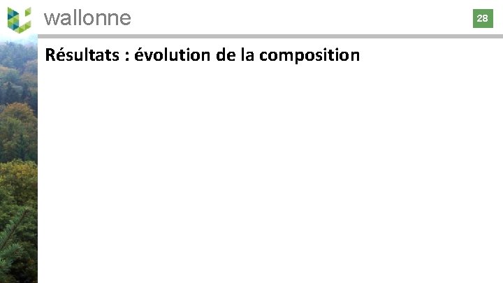 wallonne 28 Résultats : évolution de la composition 28 