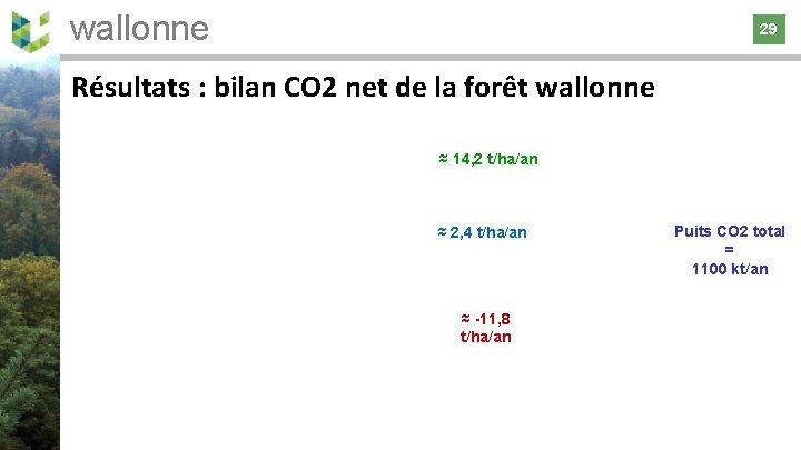 wallonne 29 29 Résultats : bilan CO 2 net de la forêt wallonne ≈