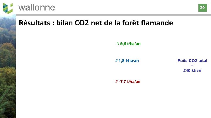wallonne 30 30 Résultats : bilan CO 2 net de la forêt flamande ≈