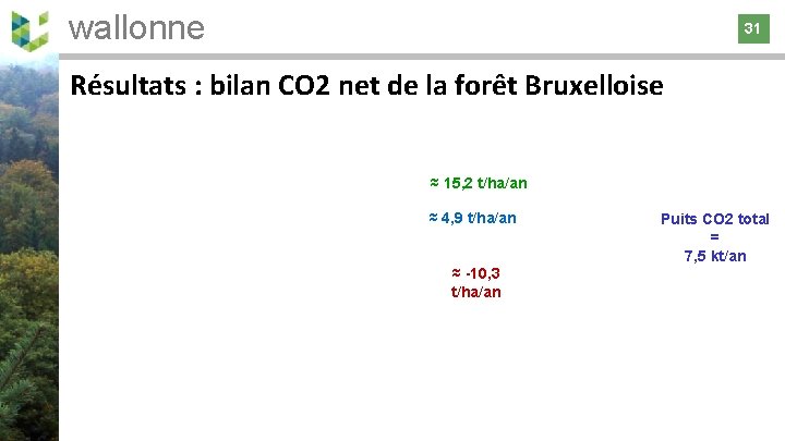 wallonne 31 31 Résultats : bilan CO 2 net de la forêt Bruxelloise ≈