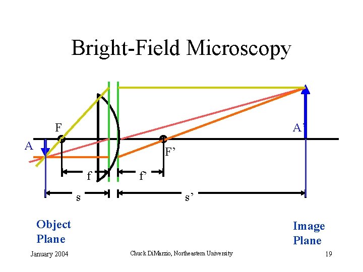 Bright-Field Microscopy F A’ A F’ f s f’ s’ Object Plane January 2004