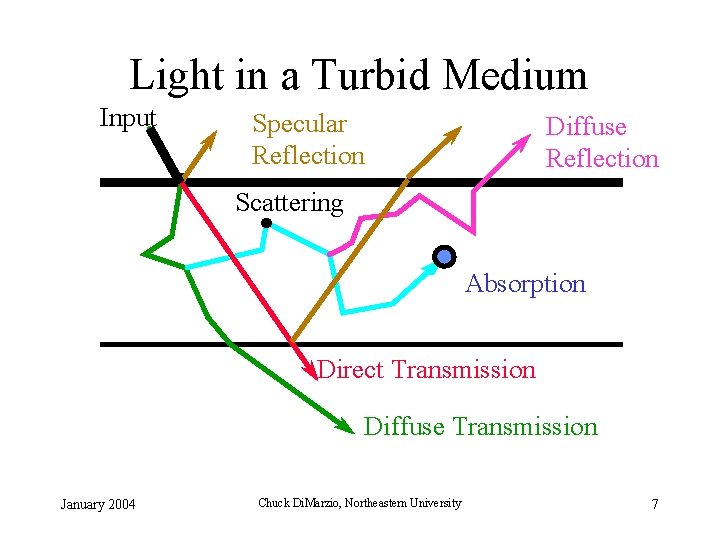 Light in a Turbid Medium Input Specular Reflection Diffuse Reflection Scattering Absorption Direct Transmission