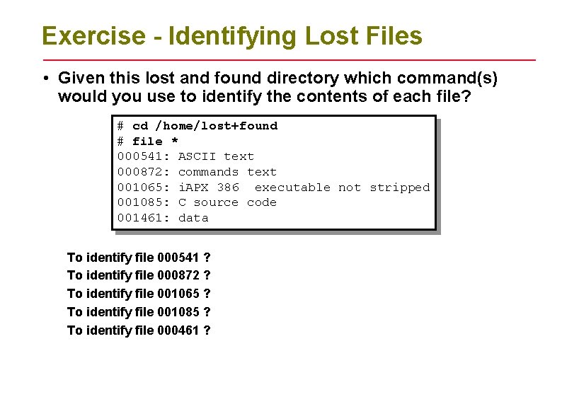 Exercise - Identifying Lost Files • Given this lost and found directory which command(s)