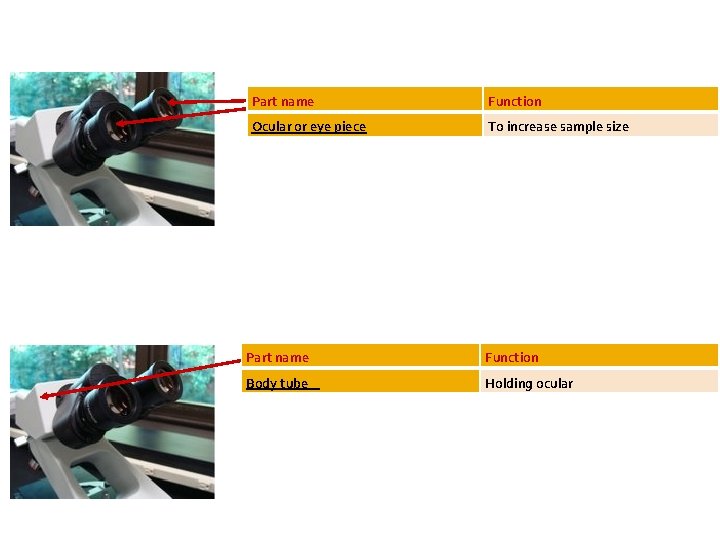 Part name Function Ocular or eye piece To increase sample size Part name Function