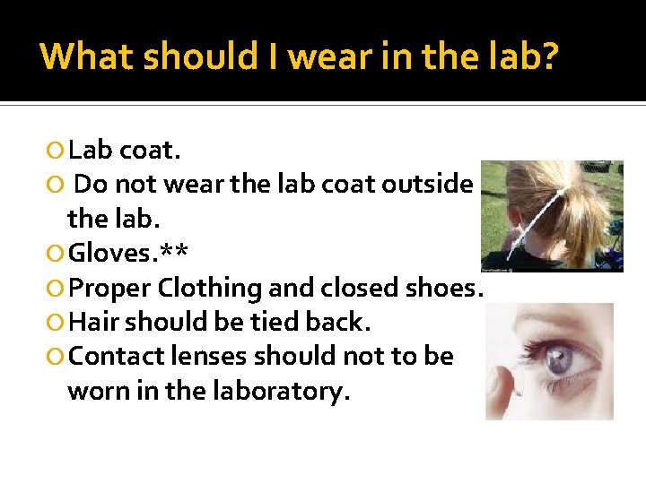 What should I wear in the lab? Lab coat. Do not wear the lab