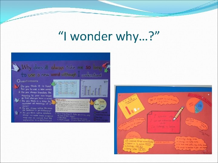 “I wonder why…? ” 