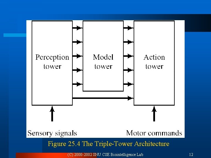 Figure 25. 4 The Triple-Tower Architecture (C) 2000 -2002 SNU CSE Biointelligence Lab 12