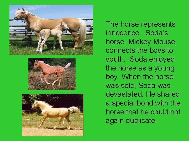 The horse represents innocence. Soda’s horse, Mickey Mouse, connects the boys to youth. Soda