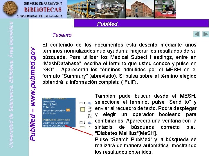 Tesauro Pub. Med – www. pubmed. gov Universidad de Salamanca. Biblioteca. Área biomédica Pub.