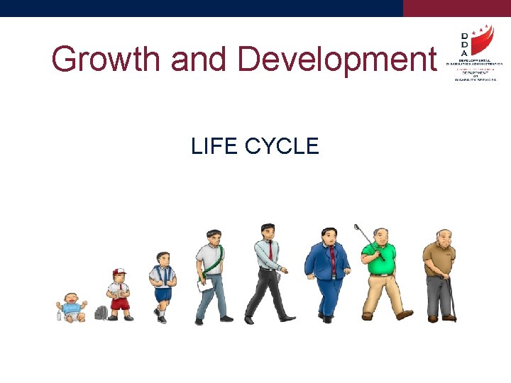 Growth and Development LIFE CYCLE 
